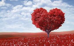 San Valentino nell'era Covid: gli innamorati 'fuggono' negli agriturismi