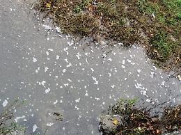 Il Liri contaminato da diverse sostanze chimiche e biologiche: il report
