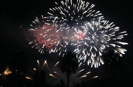 Divieto di botti per la notte di San Silvestro nel rispetto degli amici a quattro zampe