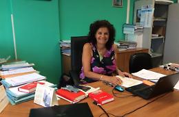 Il logo del liceo "in vendita" <br>per produrre materiale scolastico