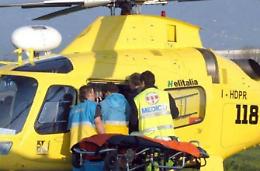 Cade dalla scala per scacciare i calabroni<br> Anziana ferita gravemente