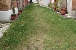 Ladri senza più limiti <br>Rubano anche al cimitero