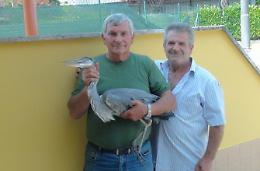 Airone ferito nel fiume Cosa <br>salvato dalla Polizia