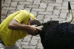 Incornato da un toro <br>Allevatore in gravi condizioni<br>