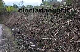 Pioggia incessante nel Cassinate<br>Strade allagate e rami spezzati