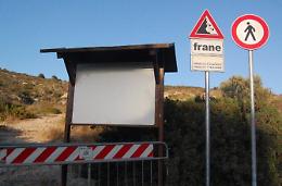 La caduta di un ulivo dietro la frana <br>che ha ucciso Giorgio Padovani