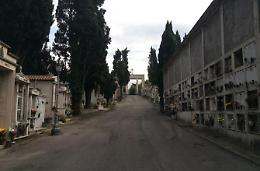 Cipressi da abbattere al cimitero<br>Scoppia un putiferio politico