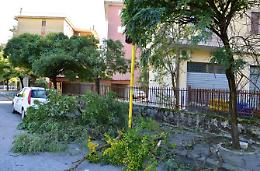 Raffiche di vento nel Cassinate<br>Rami e alberi si abbattono in strada