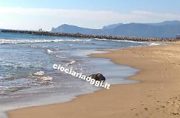 Litiga in famiglia e scompare di casa<br> Trovata su una spiaggia di Sperlonga<br>