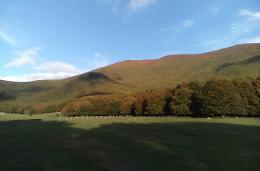 Piano forestale e Prato di Campoli  <br>Tavolo tecnico in Regione 