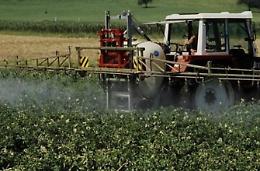 Operazione alghe avvelenate  <br>Sequestrati pesticidi tossici