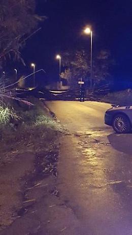 Notte di bufera in Ciociaria. Alberi sulle strade e spazzati cartelli e lamiere 