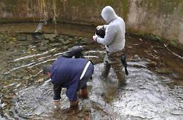 Fiume Gari nel degrado, si mobilita l'associazione "Risorgimento"