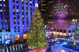 L'albero di Natale più fotografato d'America ha origini ciociare 