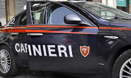 Danneggiava le aiuole e spaventava i passanti: arrestato dai carabinieri 