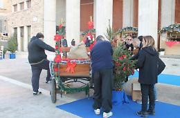 Gli alberi di piazzale Vittorio Veneto addobbati dai detenuti