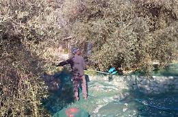 L'olio del terreno sequestrato all'Auricola diventa “crisma”