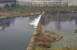 Nuovi veleni nel fiume Liri