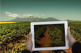Aumentano gli under 35 che lavorano in agricoltura
