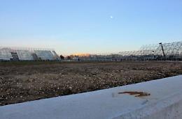 Nuovo stadio Casaleno, la senatrice Spilabotte attacca: sperpero di denaro pubblico