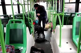 Blitz anti droga sui pullman di linea degli studenti. Trovati stupefacenti e armi