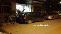 Raffiche violente di vento, alberi colpiscono le auto. Paura e feriti nel Cassinate