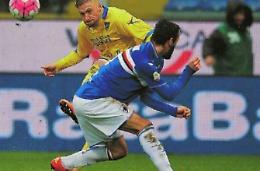 Al “Ferraris” il Frosinone scivola sul bagnato. Canarini a viso aperto con la Samp