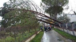 Maltempo: oltre quindici interventi urgenti a Pontecorvo