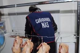 Controlli dei Nas nei laboratori d carne: sanzioni per oltre 6.000 euro