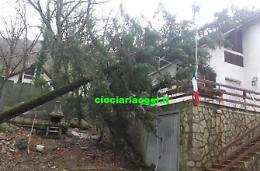 Bufera di vento e acqua: albero si abbatte su una casa. Sfiorata la tragedia