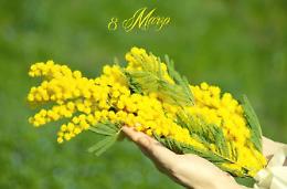 Festa della donna: le riflessioni di Maria Iannone e Antonella Spiridigliozzi