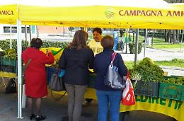 Successo per il mercato di Campagna Amica: tutti pazzi per i prodotti a km zero