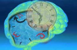 "Il tempo è cervello": una settimana per scoprire il nostro organi principe