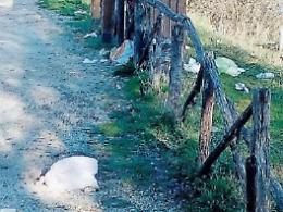 Abbandono selvaggio di rifiuti, incivili a Canterno: volontari in azione