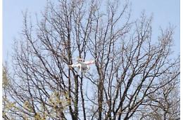 Vigili urbani e Forestale scoprono una discarica grazie a un drone