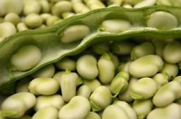 Ragazzo affetto da favismo: il Comune emana un'ordinanza per salvaguardarne la salute