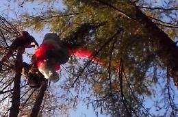 Si lancia con il parapendio ma resta impigliato su un albero: sfiorata la tragedia