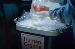 Donazione di organi e tessuti: da oggi una nuova opportunità in provincia 