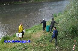 Due quintali di trote immesse nel fiume Liri: ecco a cosa serviranno
