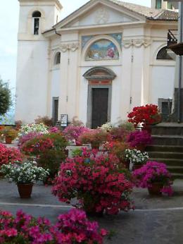 I profumi e i colori delle azalee: il prossimo week end in centro