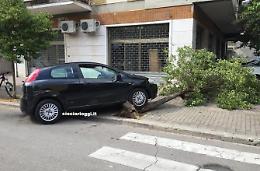 Auto contro furgone, finisce la corsa su un albero