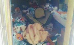 Ladri devastano un'abitazione