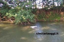 Un'auto nel fiume Sacco. Sul posto vigili del fuoco e carabinieri