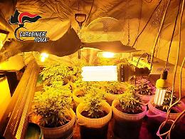 La zona rossa non ferma il mercato della droga: due pusher in manette