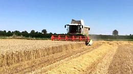 Sagra della Trebbiatura: è tutto pronto per la quarta edizione