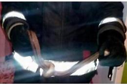 Un serpente nella culla del figlio neonato: il terrore dei genitori