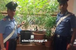 Con una serra sotto al cuscino, quarantenne arrestato