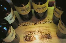Promozione dei vini all'estero. Approvati e finanziati 10 progetti