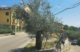 Ennesimo incidente stradale, paura davanti all'asilo. Monta la protesta