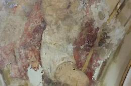 Nella basilica della patrona riaffiora un affresco del 1500 di San Girolamo 
